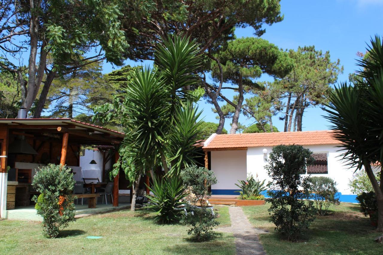 Casinha Do Pinhal Villa Colares Dış mekan fotoğraf