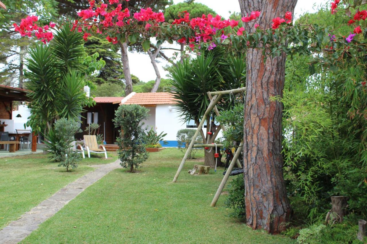 Casinha Do Pinhal Villa Colares Dış mekan fotoğraf