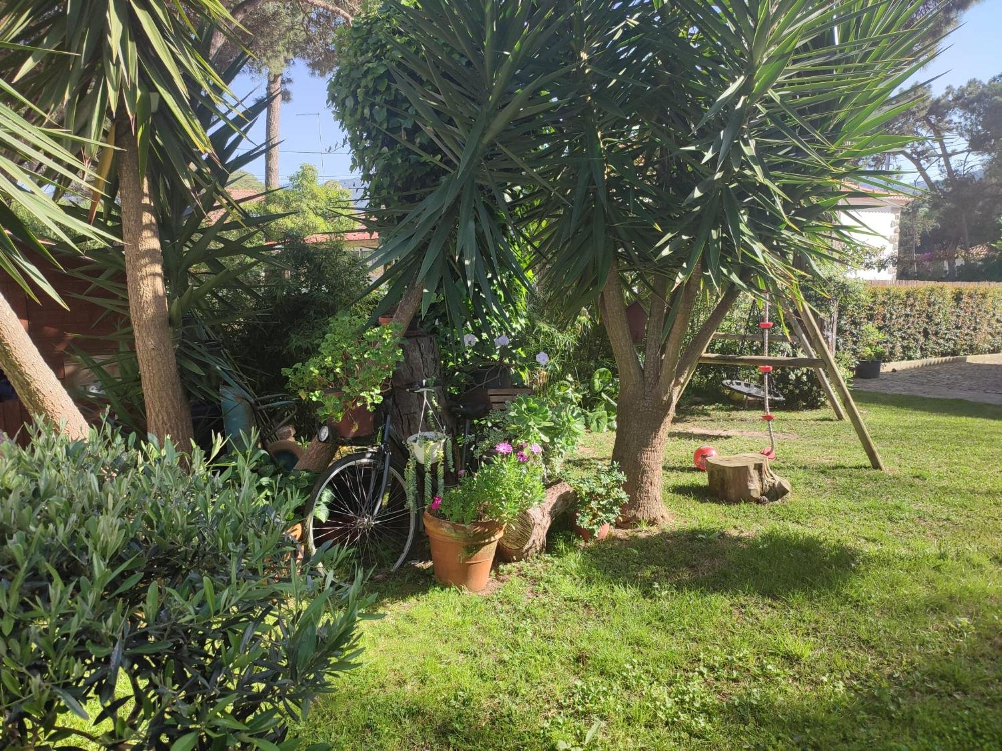 Casinha Do Pinhal Villa Colares Dış mekan fotoğraf