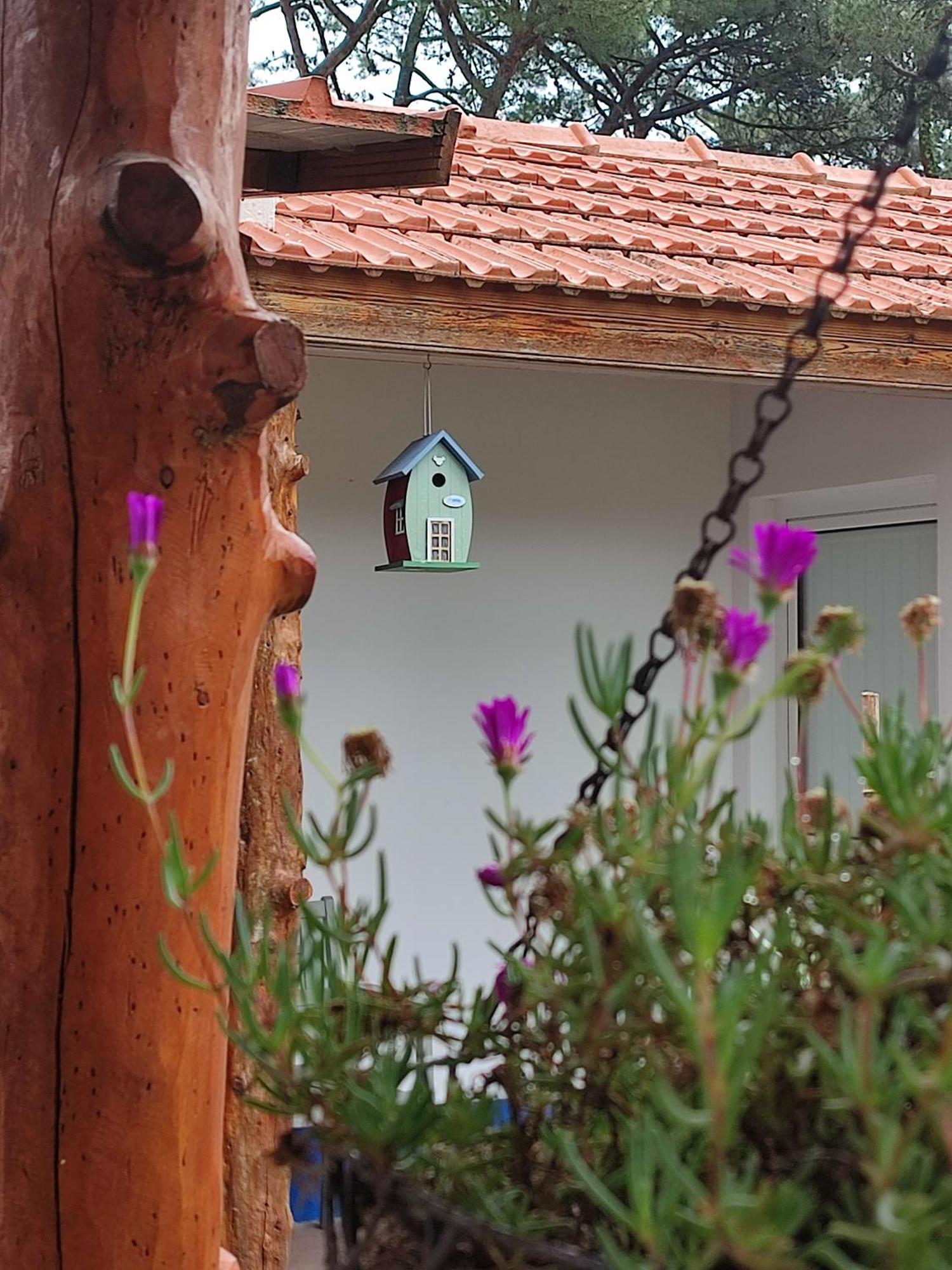 Casinha Do Pinhal Villa Colares Dış mekan fotoğraf